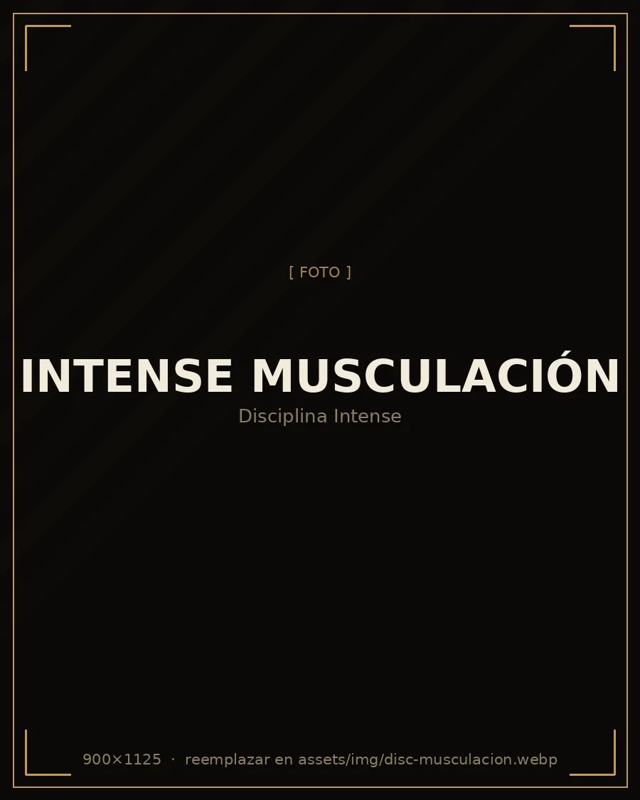 Intense Musculación